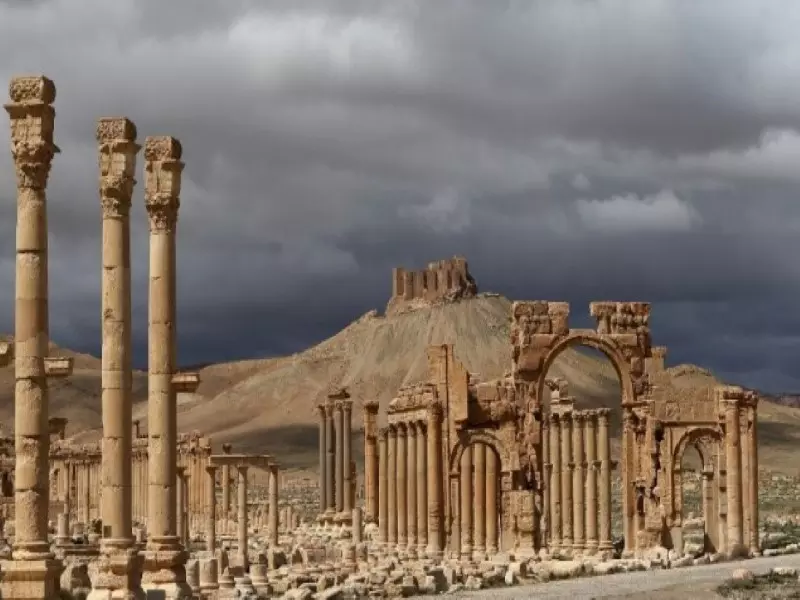 خبير تراث ألماني: عناصر الأسد ينهبون وينقبون عن آثار تدمر