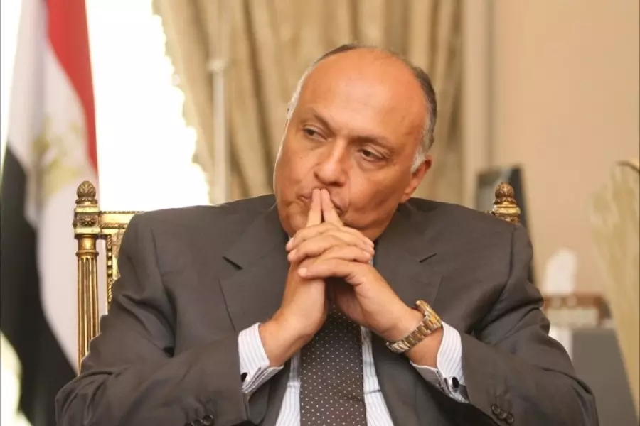 شكري : مصر تتطلع لإجراءات يتخذها نظام الأسد لتسهل عودته للجامعة العربية
