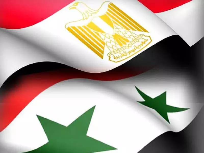 وصول وفد سوري برئاسة " عماد الأسد " إلى مطار القاهرة