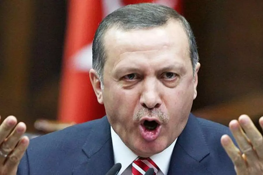 أردوغان: عملية عفرين بدأت فعلياً وستستمر إلى منبج