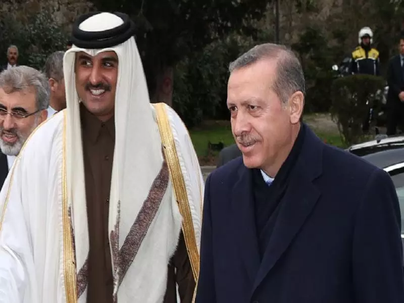 تأسيس مجلس التعاون الاستراتيجي «التركي - القطري» رفيع المستوى