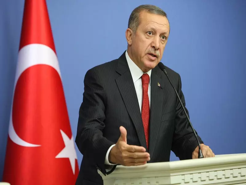 أردوغان يطالب بمنطقة آمنة في سوريا قبل قمة العشرين