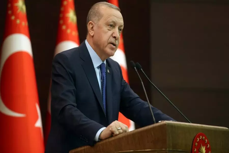 أردوغان: المستجدات في شمالي العراق وليبيا ومنطقة "نبع السلام" وإدلب بسوريا أظهرت مدى قوتنا