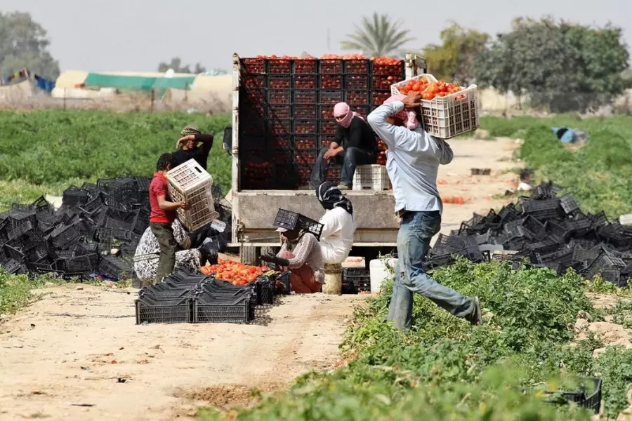 منظمة العمل الدولية تدير برنامج دعم اللاجئين السوريين في الأردن لإدخالهم في سوق العمل