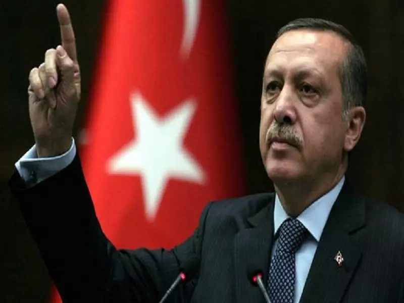 أردوغان: هناك جوانب مشتركة بين تنظيم الدولة ونظام الأسد