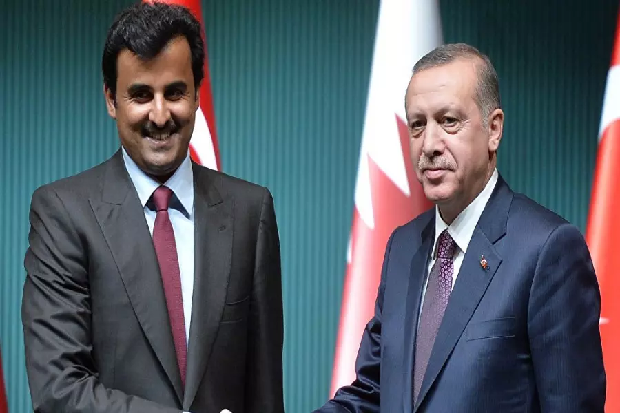 الرئيس التركي وأمير قطر يبحثان آخر التطورات في سوريا وعملية "غصن الزيتون"