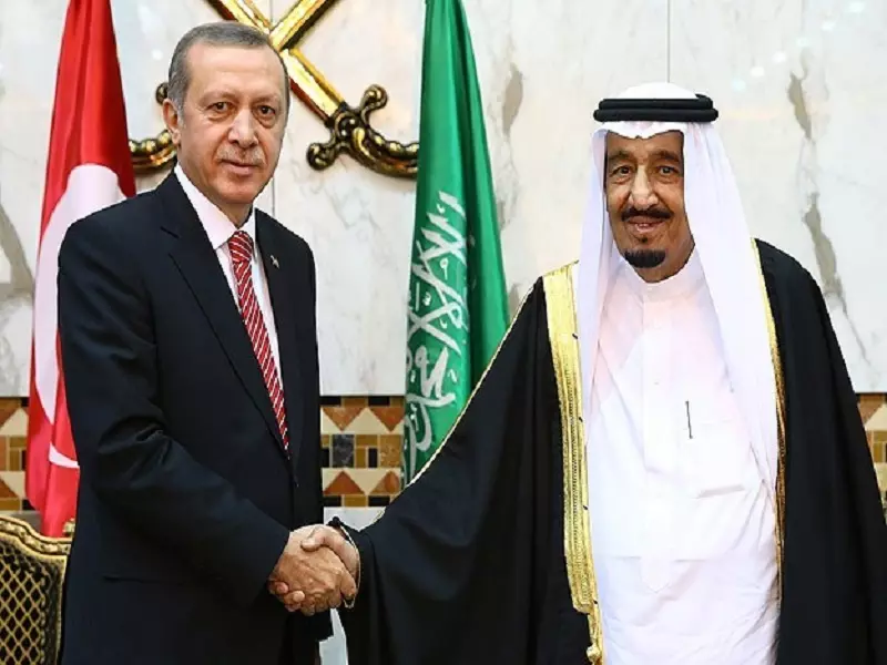 سلمان و أردوغان يتفقان على ضرورة زيادة الدعم المقدم للمعارضة السورية