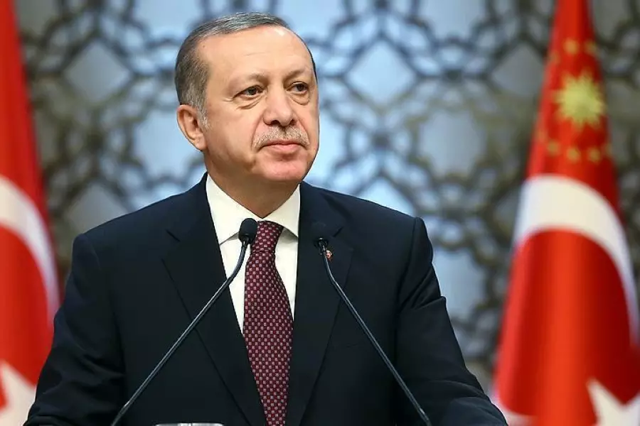 أردوغان: الاستخبارات التركية تعمل على نزع سلاح "المتطرفين" بإدلب والاتفاق يسير بشكل جيد