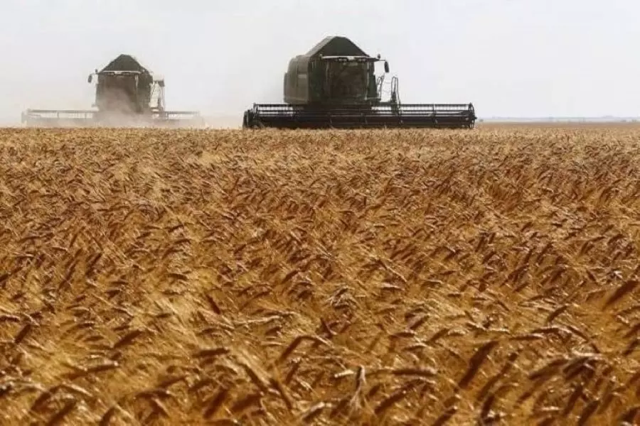 رويترز: "عام القمح" الذي أعلنه الأسد معرض للخطر بسبب الجفاف