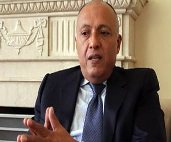 وزير الخارجية المصري ... يجب وضع دستور سوري جديد وإجراء انتخابات تحت إشراف دولي