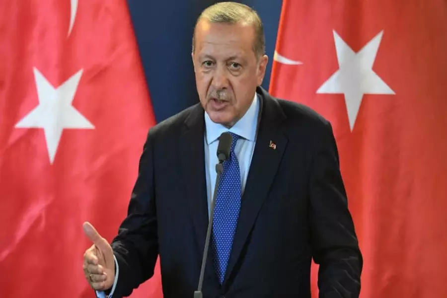 أردوغان: الجيشان "التركي والوطني السوري" حررا 1500 كم مربع ضمن "نبع السلام"