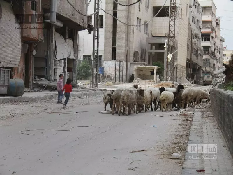 نشرة أخبار الساعة 12 مساءً لجميع الأحداث الميدانية في سوريا 01-02-2015