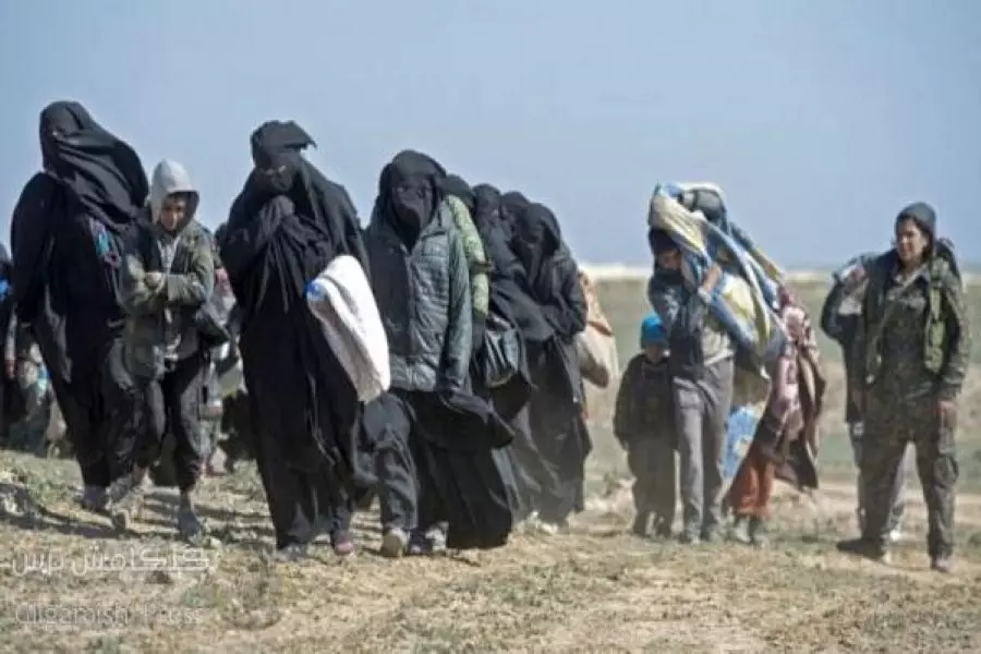 "بي واي دي" ينقل عائلات عناصر داعش من مخيم الهول إلى مدينة القامشلي