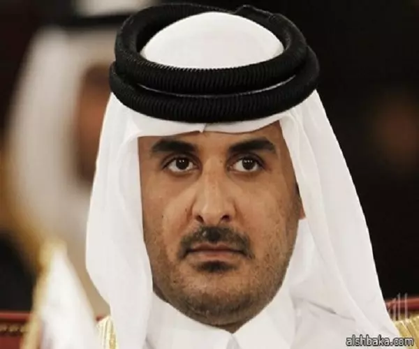 أمير دولة قطر... هل سنبقى ننتظر ما سيفعله الآخرون في سوريا ومتى سنتحرك نحن كعرب؟