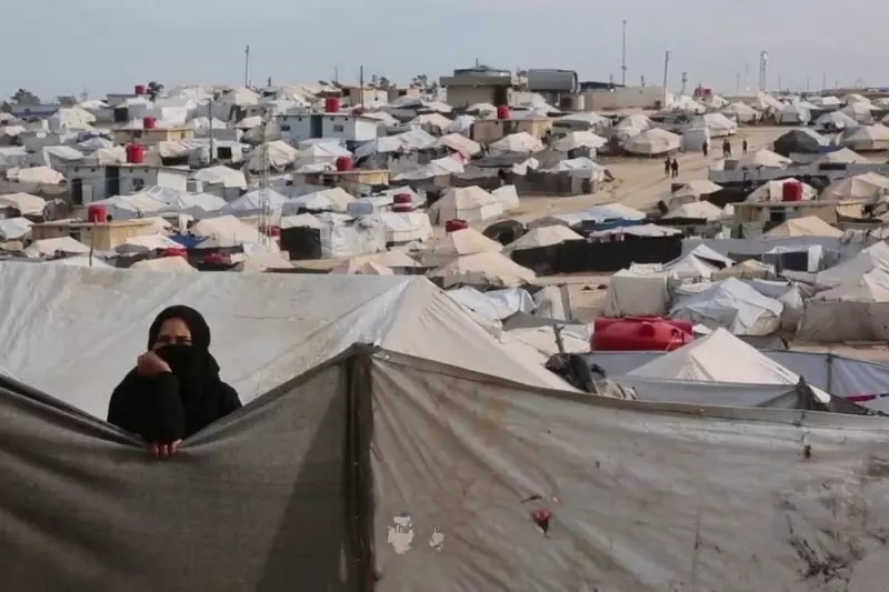 "الإدارة الذاتية" تهديد المنظمات الإنسانية العاملة في مخيم الهول يشكل "سابقة خطيرة"