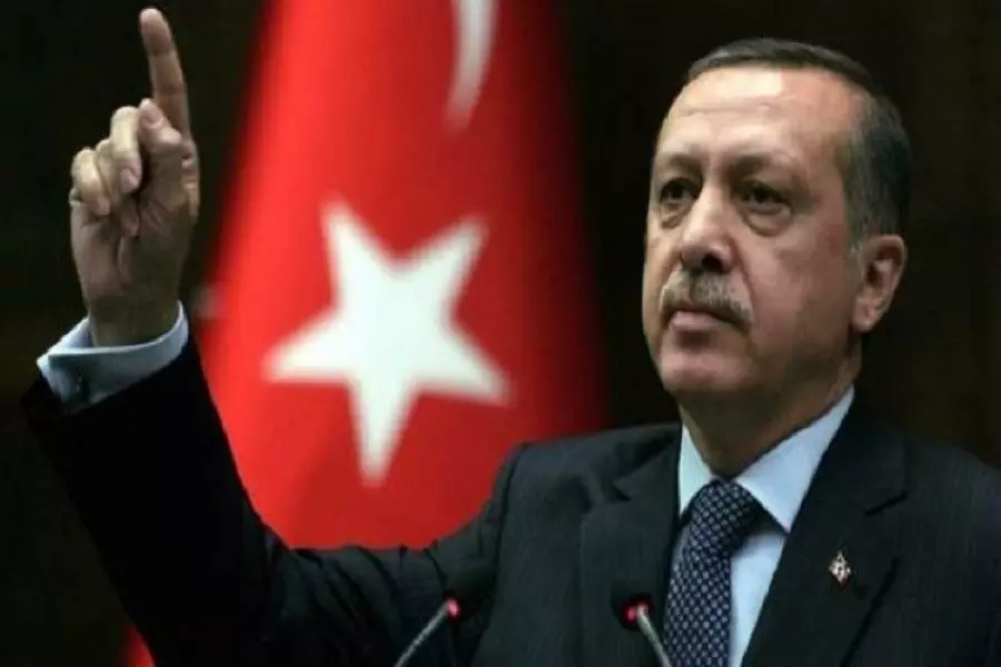 أردوغان: تركيا تسيطر على بعض قرى منبج وترصد جميع التطورات الميدانية والعملية مستمرة