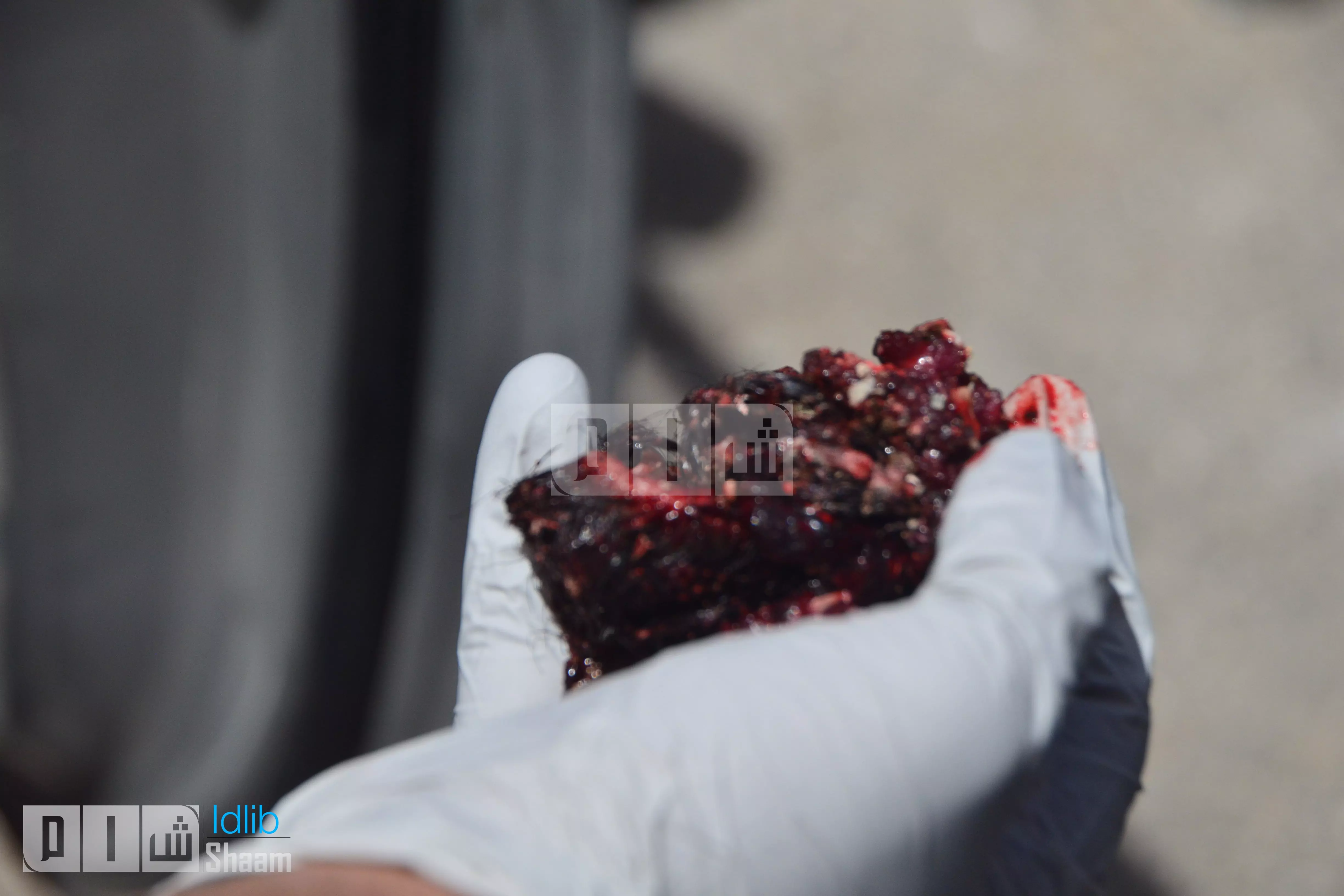 #إدلب-تواجه-الموت .. مجازر حمراء تفقدها خضرتها