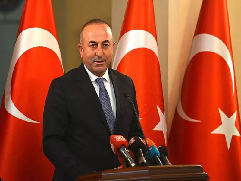 وزير خارجية تركيا "الجيش الحر" فقط يقاتل لوحدة الأراضي السورية