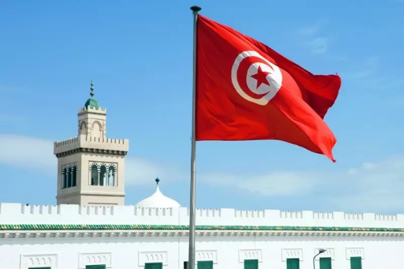 وزير تونسي: المعطيات أثبتت تورط القوميين في شبكات التسفير نحو سوريا عبر لبنان