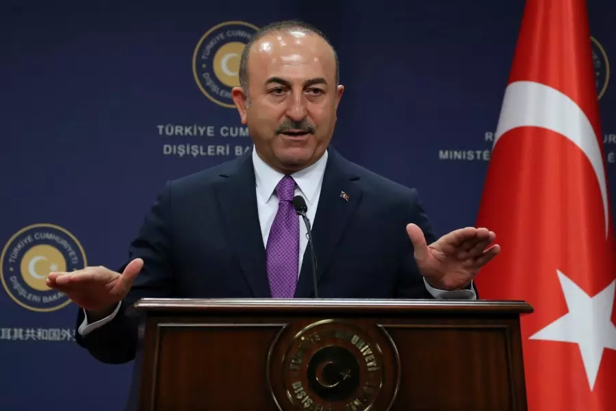 جاويش أوغلو: تركيا واثقة على قدرتها على تطهير منطقة شرق الفرات