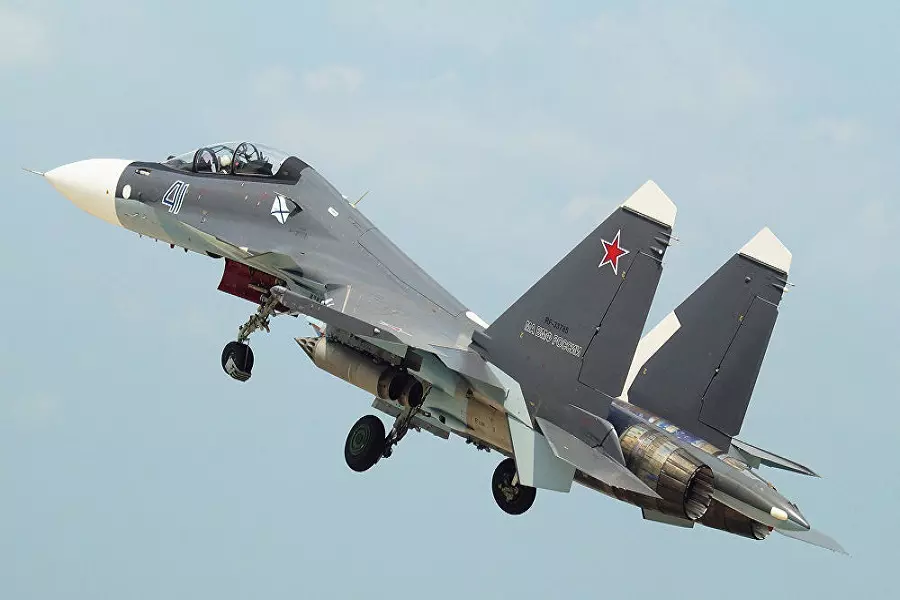 الدفاع الروسية: طائر سبب سقوط "سو-30إس إم" الروسية قبالة الساحل السوري والطيارين قتلا