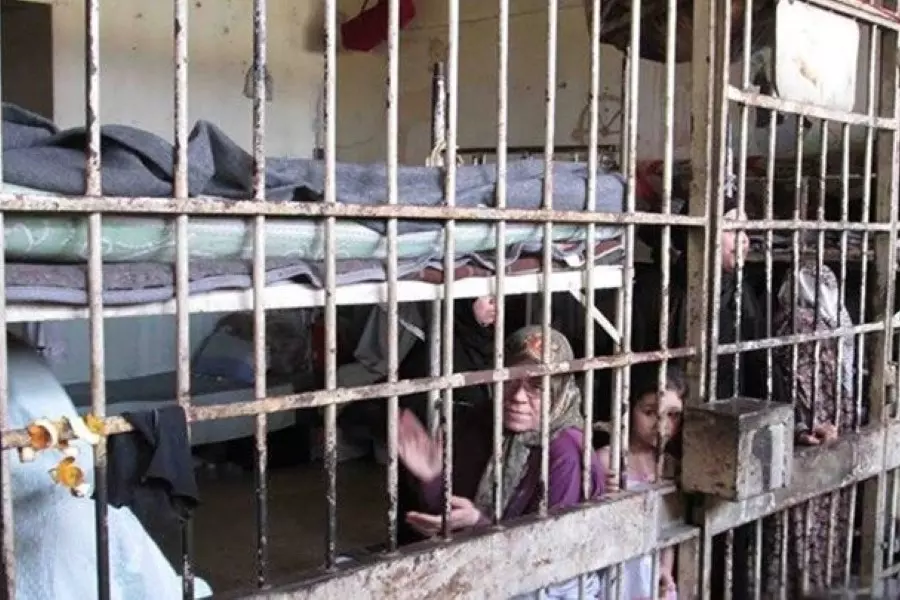 مجموعة العمل: 35 لاجئة فلسطينية قضين تحت التعذيب في سجون النظام السوري