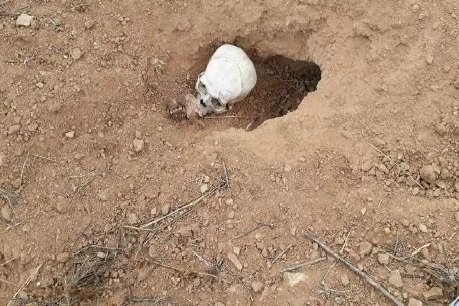 العثور على ثلاث مقابر جماعية تضم 235 جثة لمدنيين وعناصر من الجيش الحر أعدمهم تنظيم الدولة بريف منبج