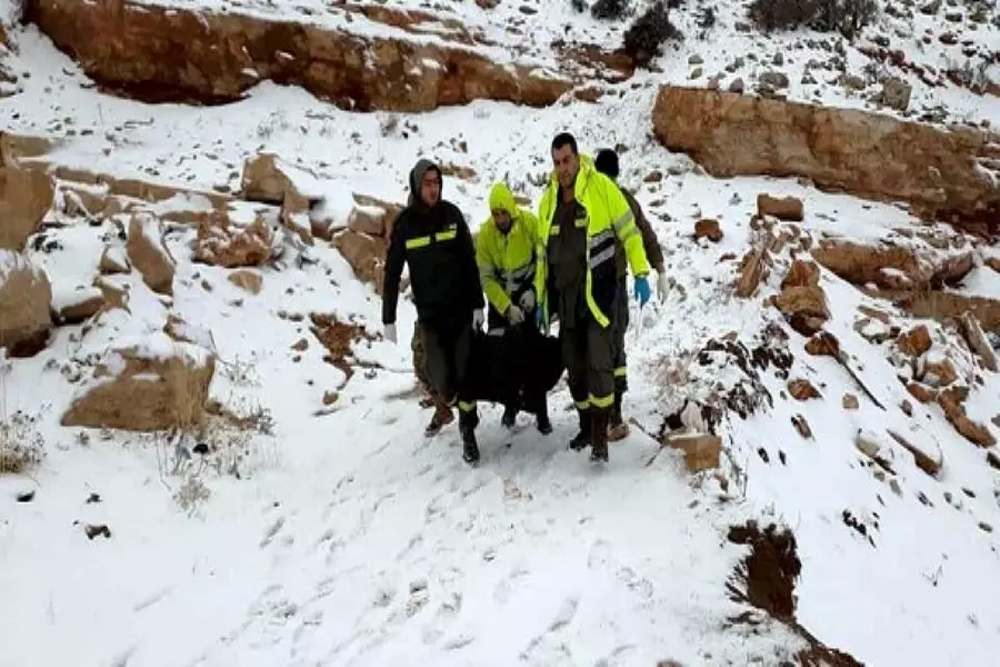 ارتفاع ضحايا العاصفة الثلجية في البقاع اللبناني إلى 15 سوري والمفوضية تبدي حزنها على وفاتهم