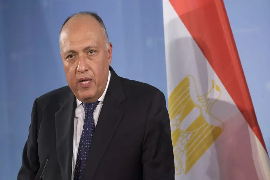 وزير خارجية مصر يكذب رئيسه بشأن حلب