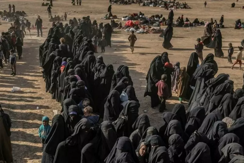 دراسة بلجيكية: 600 طفل من أبناء دواعش أوروبا محتجزون بمخيمات شمال شرق سوريا