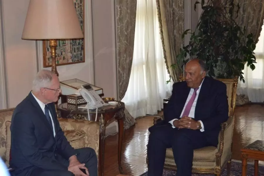 وزير الخارجية المصري يبحث مع "جيفري" تطورات الأوضاع في سوريا