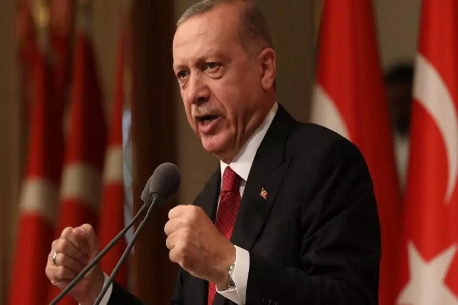 أردوغان: مباحثاتنا مع الأمريكيين سارت بشكل إيجابي وسنقيم مركز عمليات لـ "ممر سلام" في سوريا