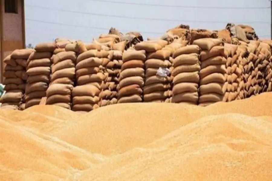 جزيرة القرم تبدأ بتصدير القمح والمنتجات البترولية لسوريا