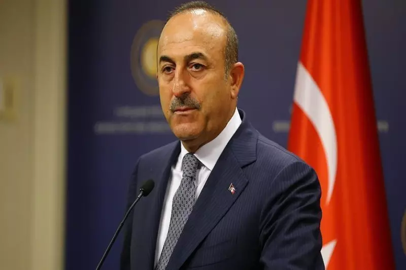 أوغلو: تركيا رفضت ستة أسماء لا يمثلون "المجتمع المدني" للجنة الدستورية السورية