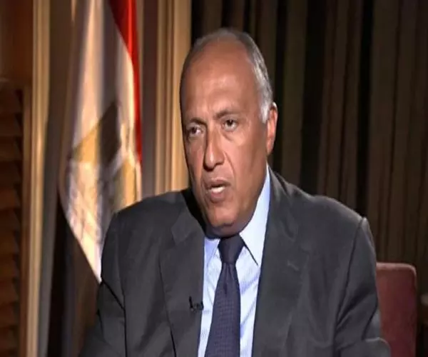 وزير الخارجية المصري ... لا جدوى من إرسال قوات سعودية إلى سوريا