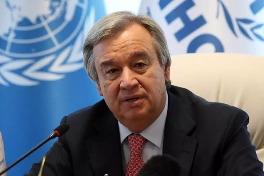 الأمين العام للأمم المتحدة يحذر من مغبة استئناف الهجمات العسكرية على الجنوب السوري
