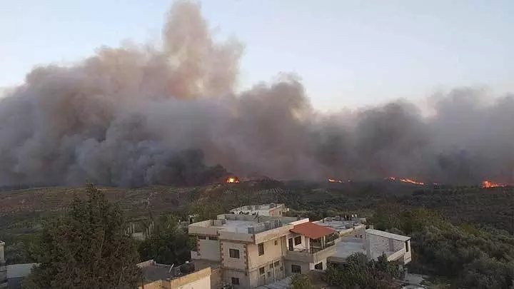 الشبكة السورية: لامبالاة النظام السوري تسببت بتوسع انتشار الحرائق بشكلٍ مُخيف