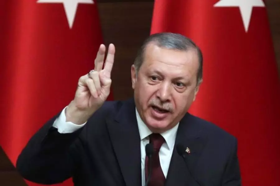 أردوغان: تركيا والجيش الحر فقدوا مئات المقاتلين في معركة عفرين
