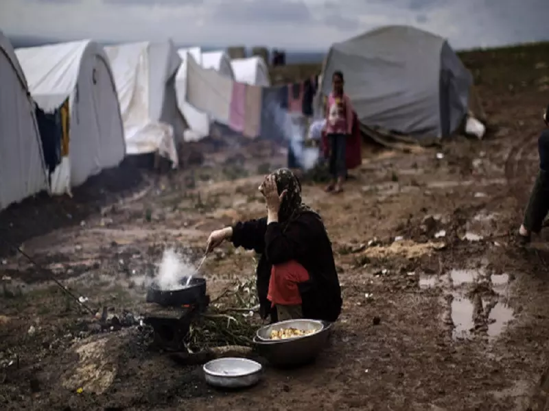 9,8 مليون سوري يعانون من انعدام الأمن الغذائي ما يتطلب مساعدات غذائية خارجية عاجلة