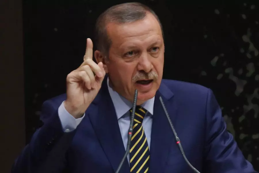 أردوغان: منطقة "تل رفعت" أو "منبج" لا تسير حاليا في الاتجاه المطلوب