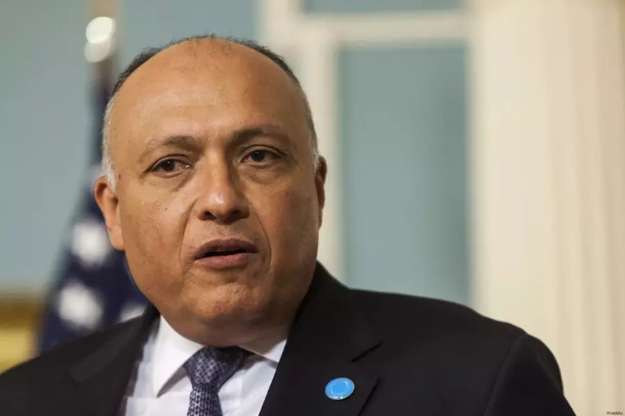 القاهرة تصحح تصريحات وزير خارجيتها بشأن عودة سوريا للجامعة العربية