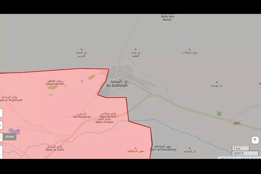 قوات الأسد تواصل تقدمها في مدينة السخنة... وتنظيم الدولة يتراجع