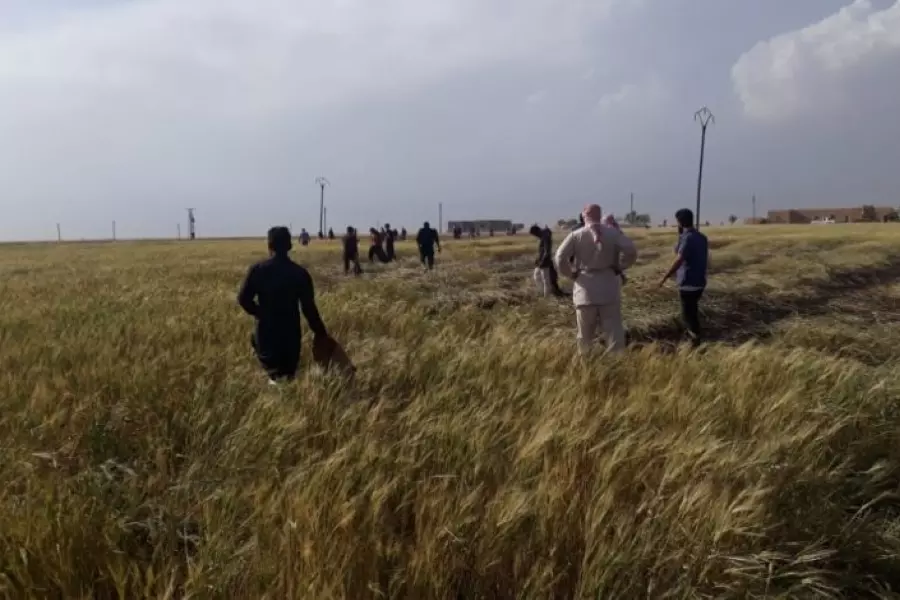 ميليشيات النظام وإيران تُحرق محاصيل زراعية لفلاحين في بلدة أبو خشب بديرالزور