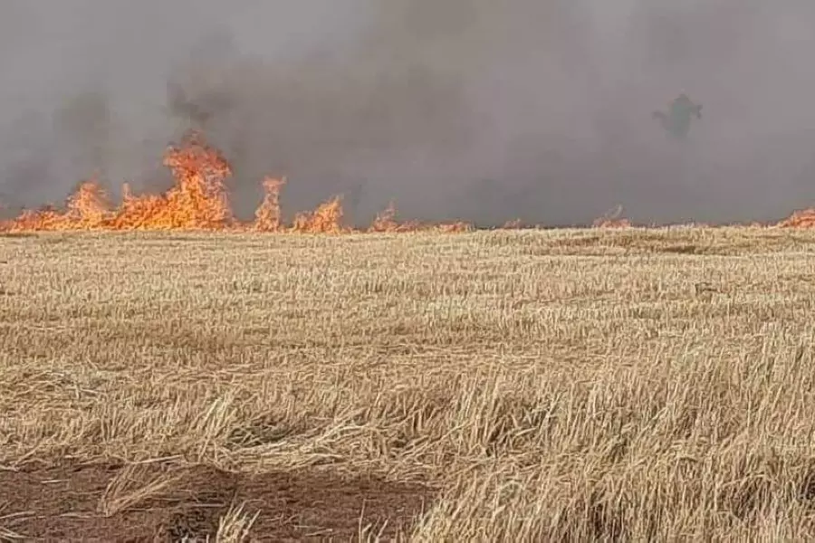 وسط تقاعس وتجاهل "قسد" .. النيران تلتهم مساحات واسعة من الحقول الزراعية شمال شرق سوريا