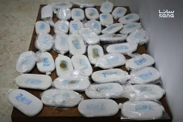  إحباط محاولة تهريب حشيش عبر معبر جديدة يابوس
