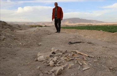 صورة تعبيرية (ارشيفية)