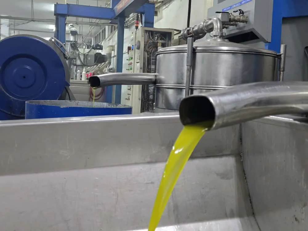 الإنتاج يتراجع 45%.. موسم الزيتون يواجه تحديات كبيرة في سوريا