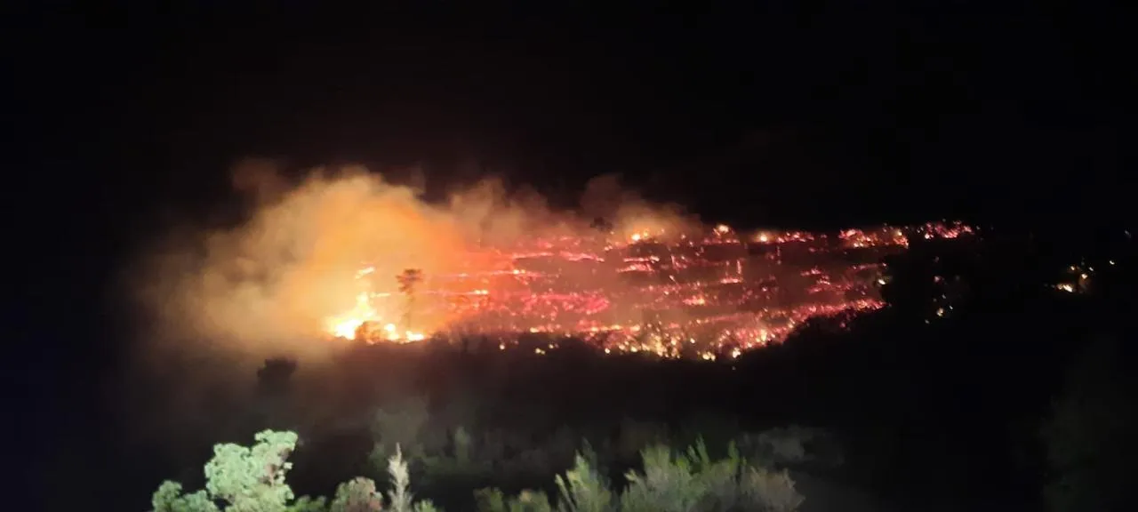 الدفاع المدني يعلن إخماد حريق حراجي ضخم بريف اللاذقية 