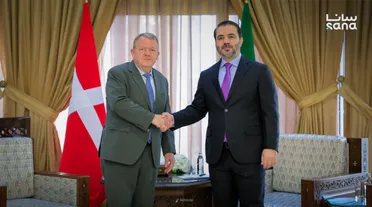 الشيباني ونظيره الدنماركي يبحثان في دمشق الاعتداءات الإسرائيلية وعودة اللاجئين 