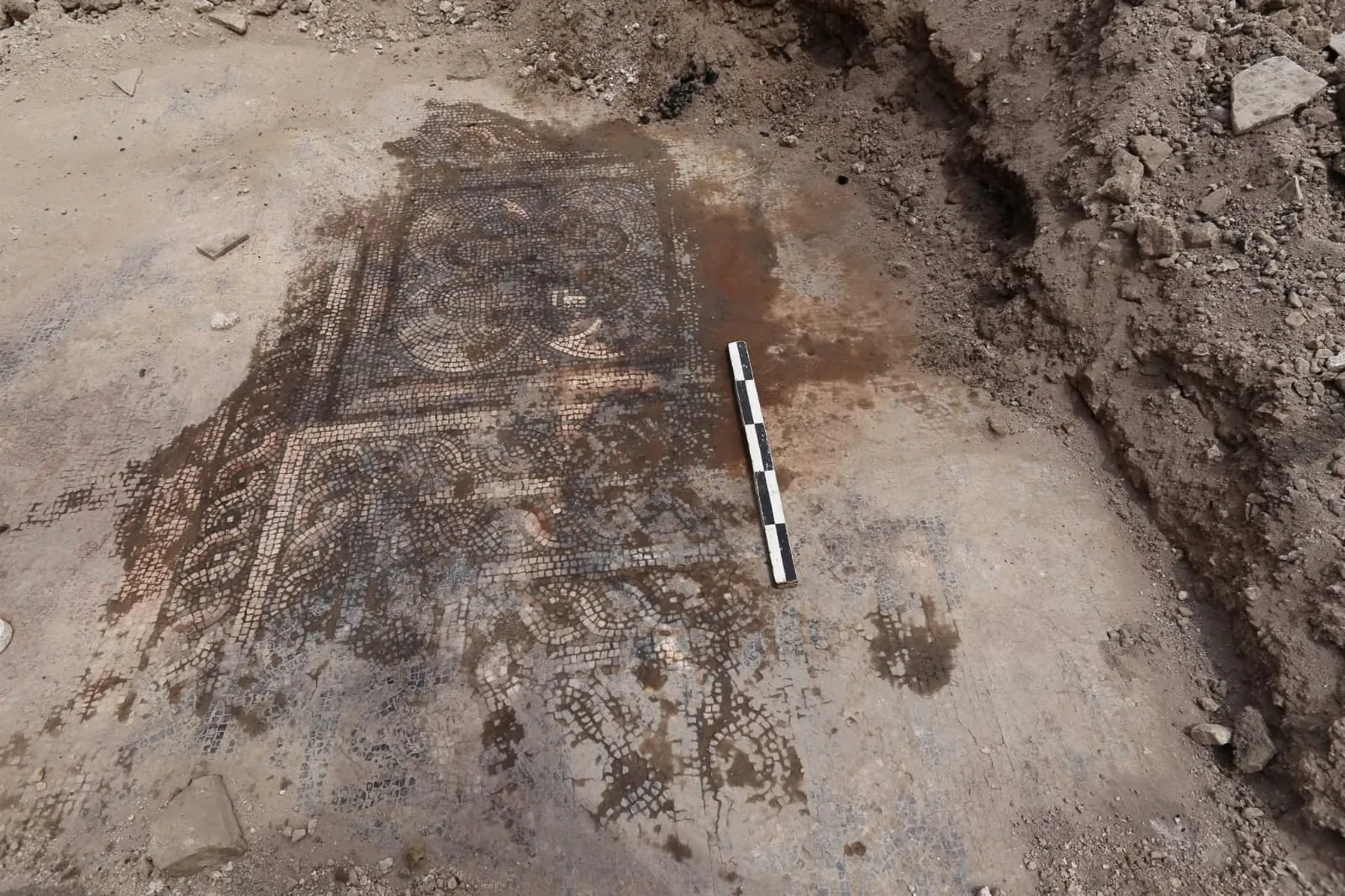 المديرية العامة للآثار تعلن العثور على بقايا فسيفساء ورسوم فريسكو بريف دمشق